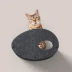 battery powered pet water fountain - Professional Guide and Review