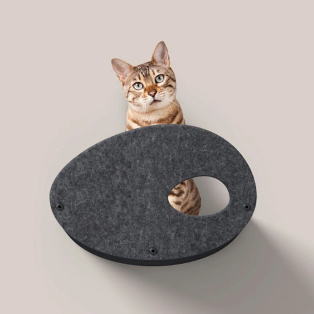 29_2c54581f-5e42-4fba-af24-cca5394e191f_2000x battery powered pet water fountain - Professional Guide and Review