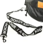 Dog Beach Anchor Bag with Leash