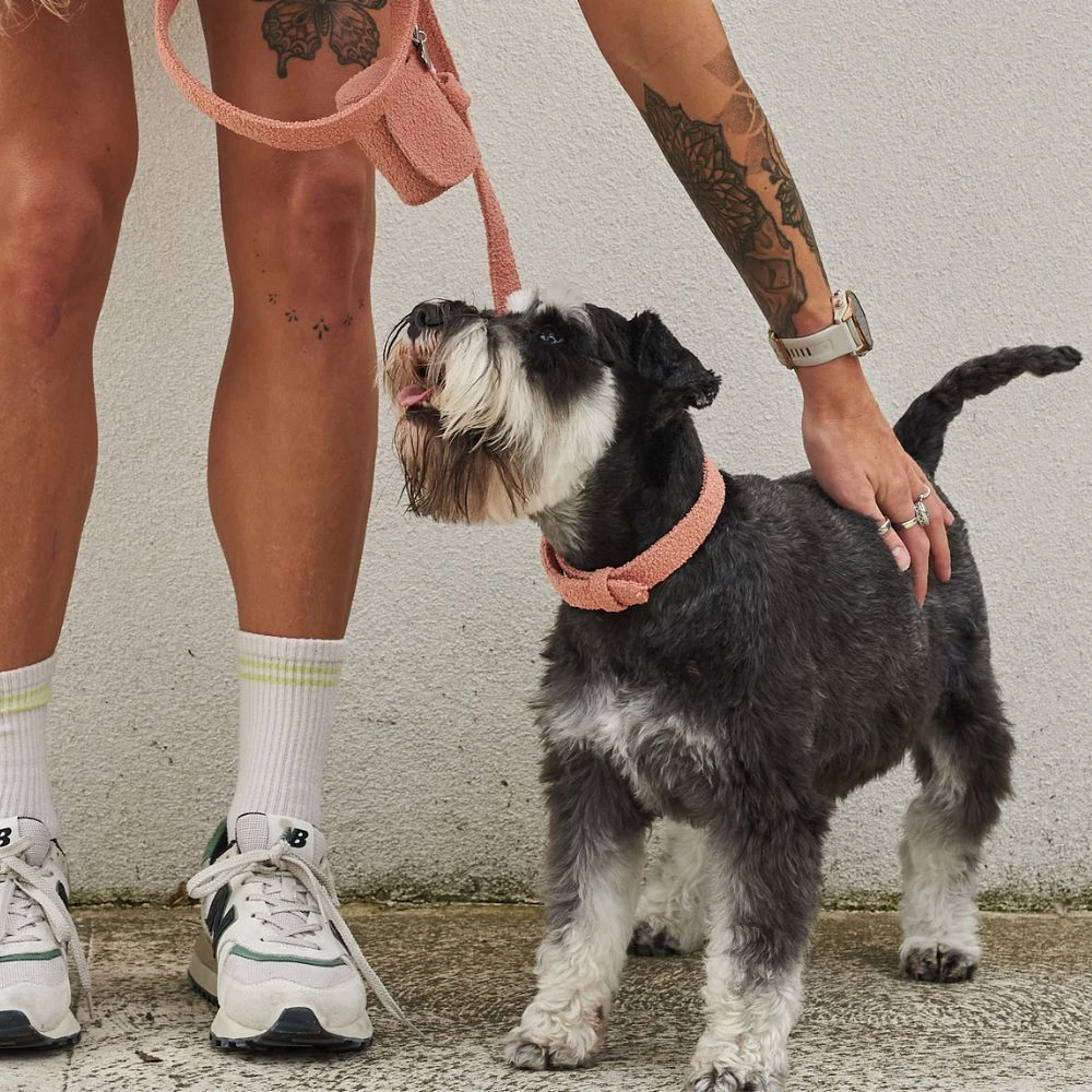 31_2cbf21ff-b927-4e5c-8ad1-ae26e09b83a6_2000x Australian Designed Boucle Dog Leash, Terracotta