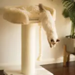 High Bed Scratching Post for Large Cats, Cream