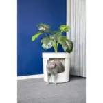 Moderna Hidden Planter Litter Box, Soft White