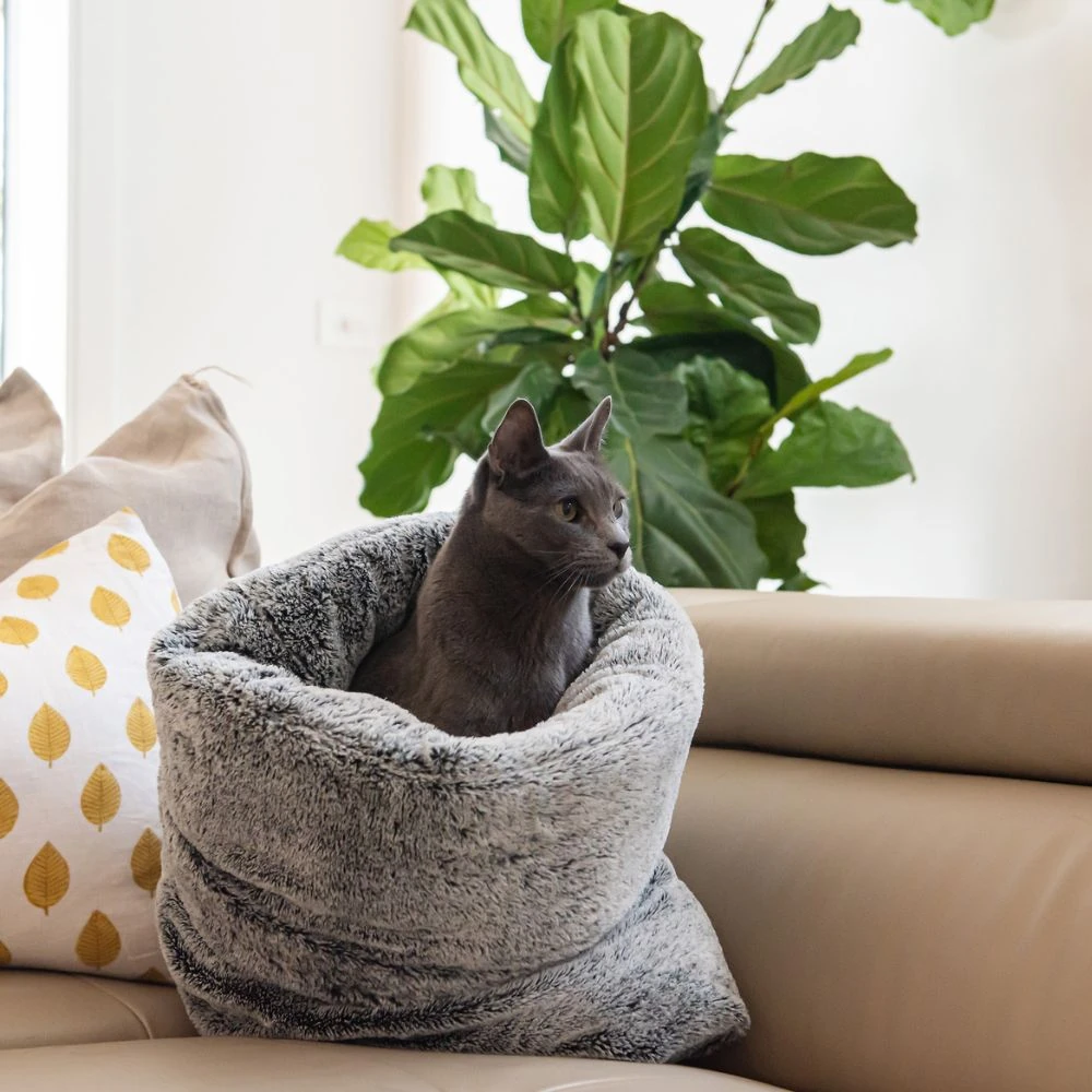 34_2000x Cosy Cat Burrow, Artic Fur