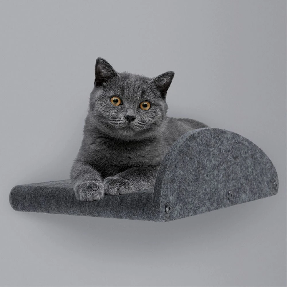 35_301ebc07-45a2-49b5-a5d4-7ada97f96337_2000x Cat Climber Set of 4 Facade Add-Ons, Charcoal