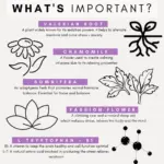 Petz Park Supplement For Dogs | Stress + Anxiety