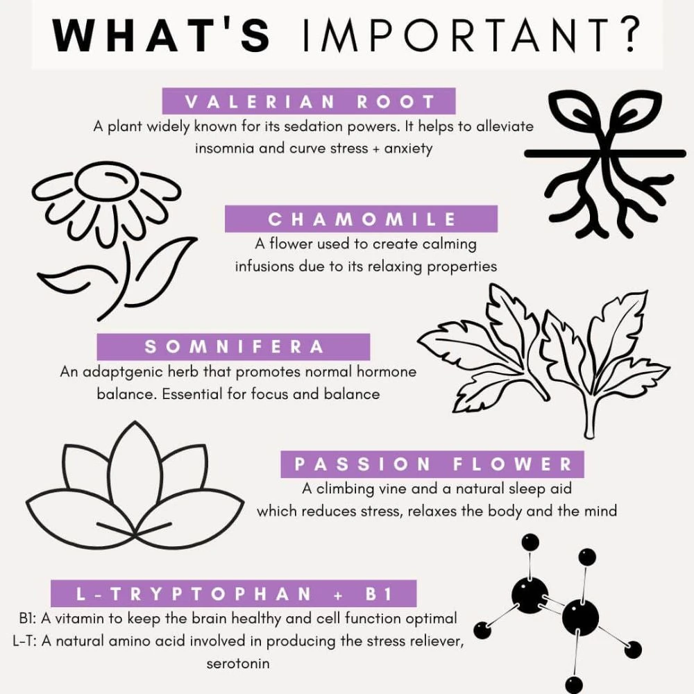 35_a6111832-0327-4b41-b5f0-674c829b6db7_2000x Petz Park Supplement For Dogs | Stress + Anxiety