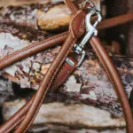 Hunter Rolled Soft Leather Dog Training Leash, Brown