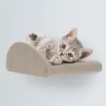 Cat Climber Set of 4 Facade Add-Ons, Oatmeal