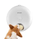 pet camera feeder - Professional Guide and Review