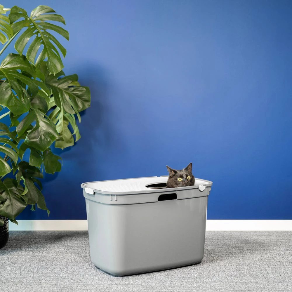 38_a2cf6668-771b-421d-a9a6-ff5c3bcc1e92_2000x Top Entry Litter Box, Moderna Top Cat, Cool Grey