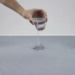 dog cages perth - Professional Guide and Review