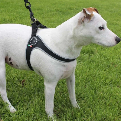 45_bed5e9ca-3967-43d4-9950-480c6de4231b_400x Tre Ponti Genesis Step In Harness for Dogs and Cats, Pink