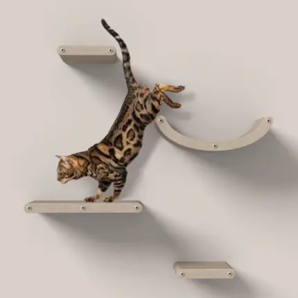 Cat Climber Set of 4 Shelves, Oatmeal