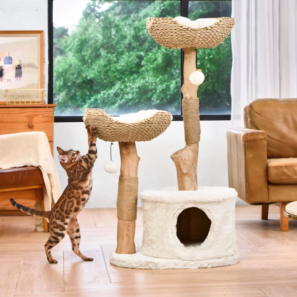 51_ca531340-8b2a-493d-85a4-2f903a4c7849_2000x Michu Premium Real Wood Cat Tree | Large