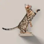 Cat Climber Short Steps (2), Oatmeal