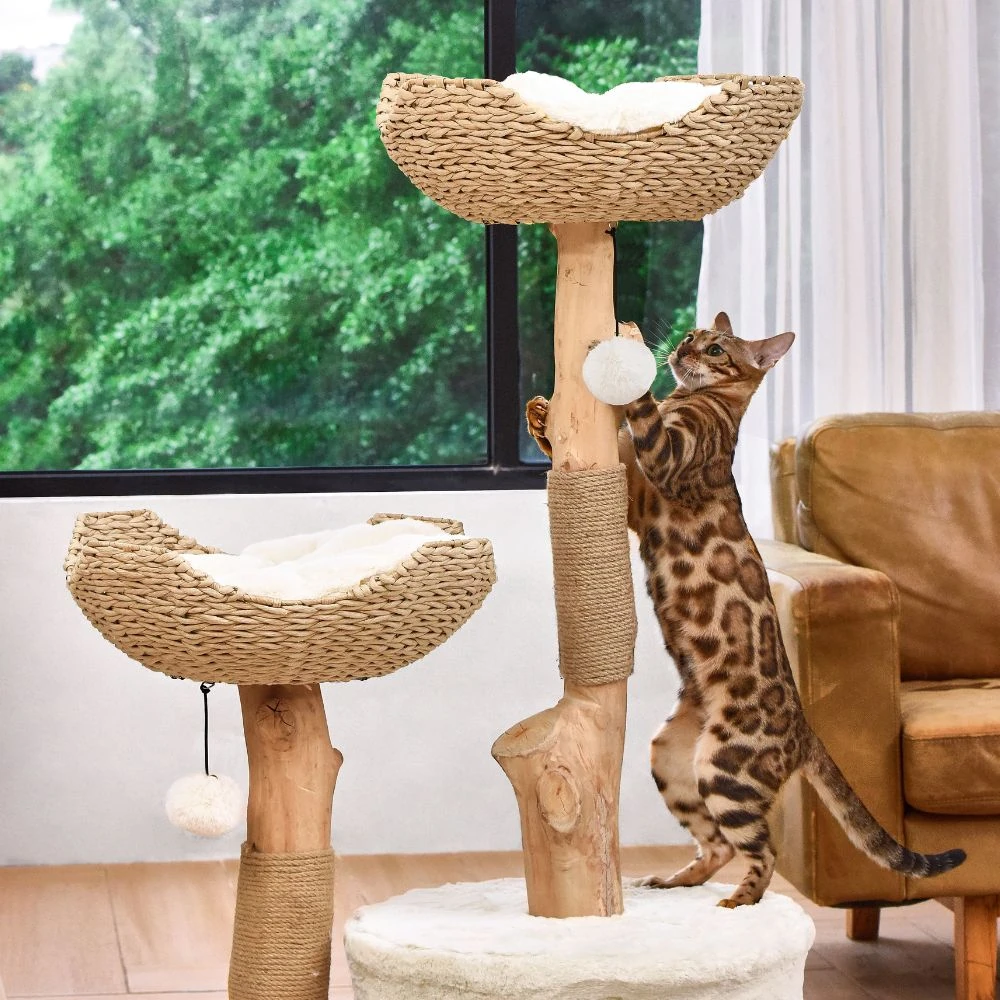 54_c0d77c08-77bd-420f-b8f5-4304d78fc04a_2000x Michu Premium Real Wood Cat Tree | Large