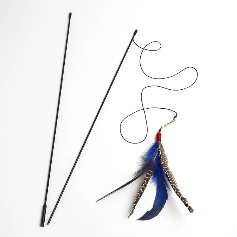 bed cat furniture feather toy interaction