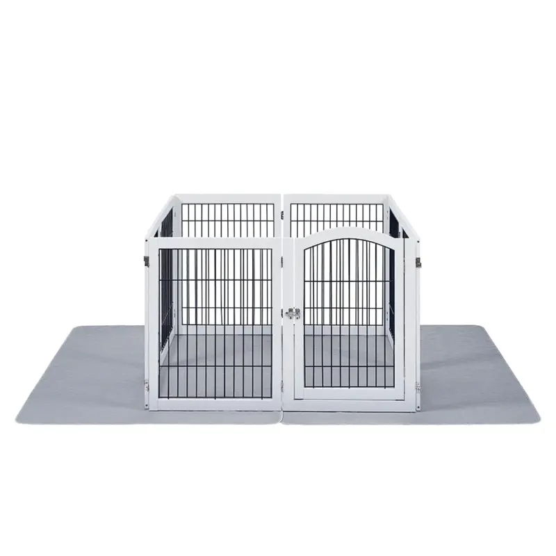 pet stain and odour remover - Professional Guide and Review