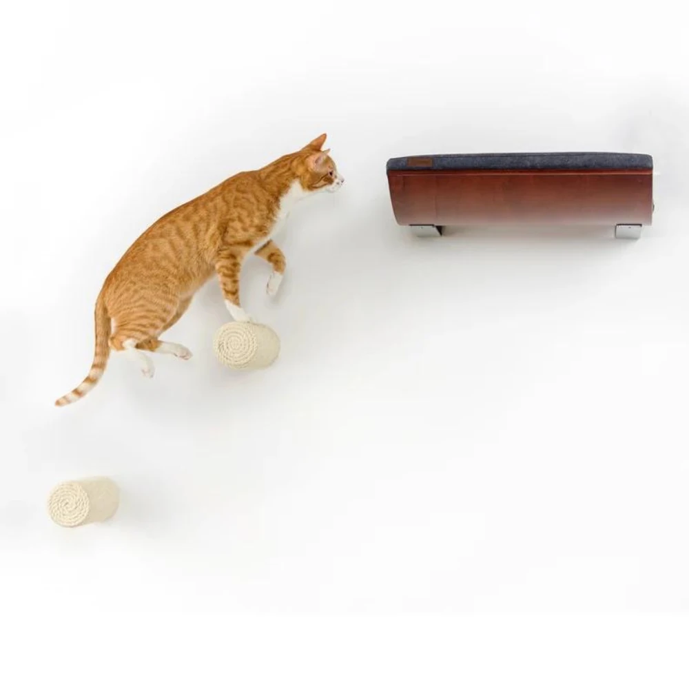 5_45321caf-386e-451f-a550-cc096b9c6b76_2000x Sisal Cat Climbing Steps - 2 Pack