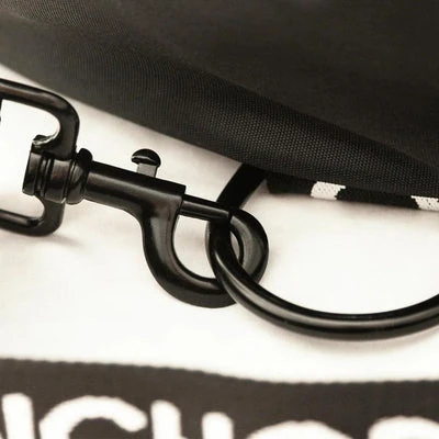 5_a76e1d33-5752-4880-ac89-ef5c104b8155_400x Dog Beach Anchor Bag with Leash