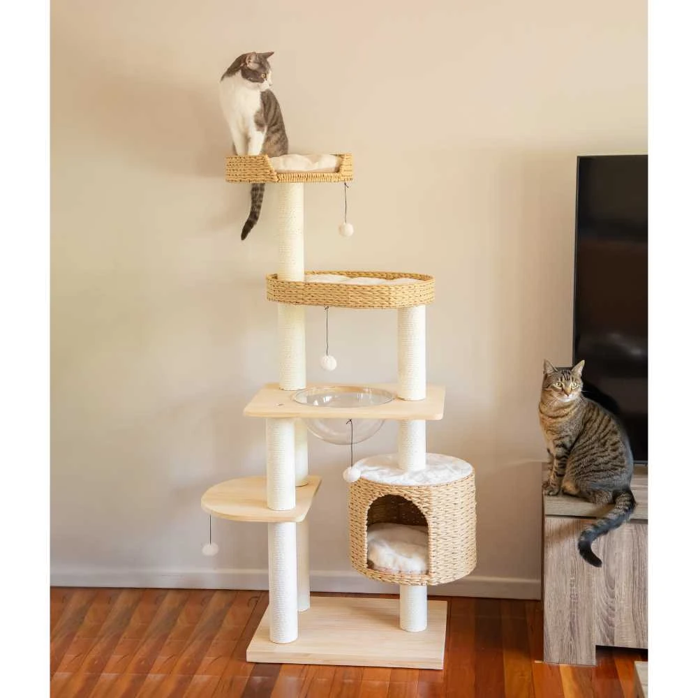 64_37ef2758-c2c3-496c-b232-fa248dbe4bfd_2000x Premium Solid Wood and Natural Wicker Cat Tree