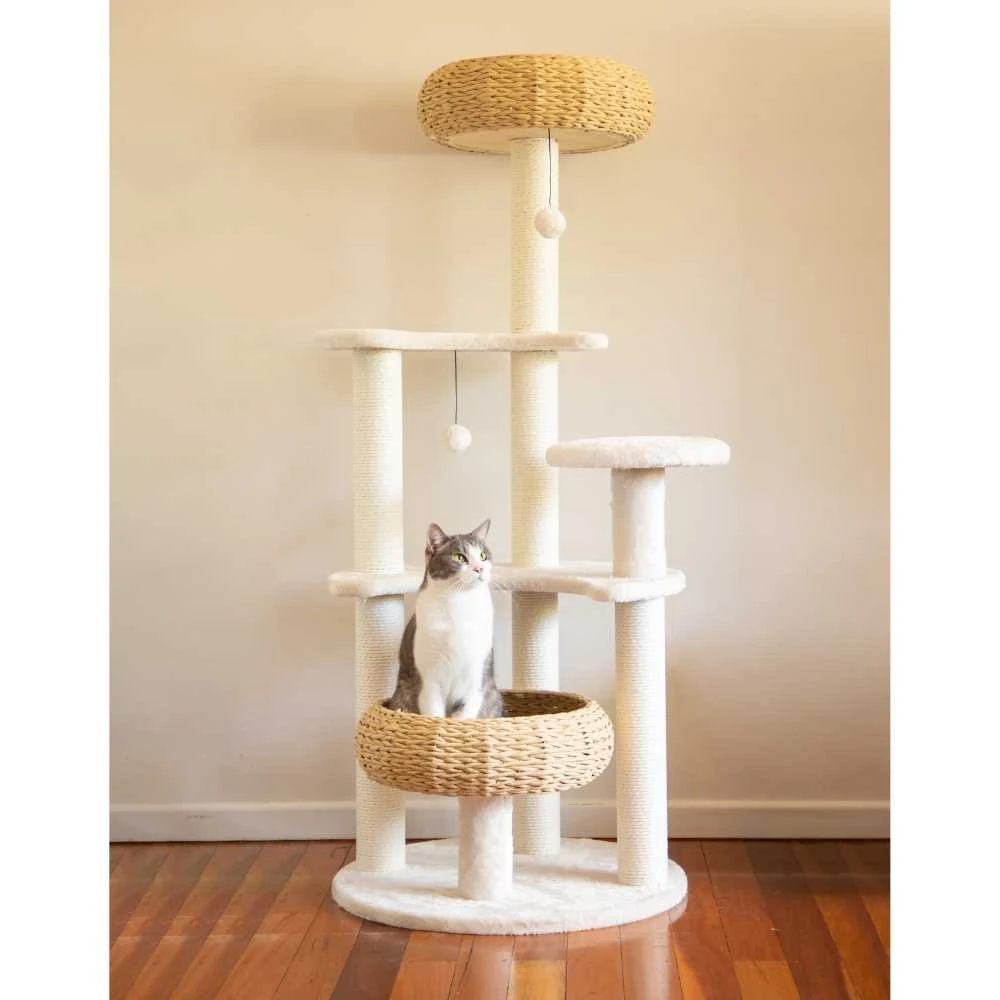 65_6fe923db-d96b-46cb-bf7d-32bfad8b3713_2000x 5-Platform Plush and Wicker Cat Tree