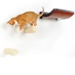 poo bag - Professional Guide and Review