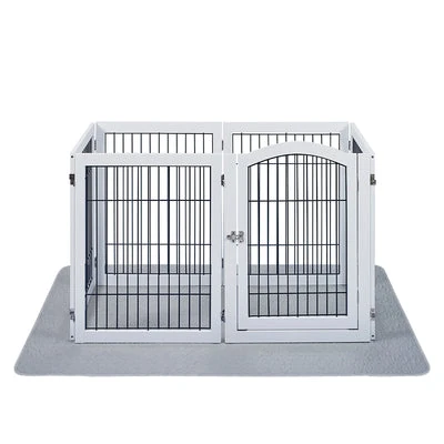 dog playing with textured inexpensive dog toys showing dental benefits