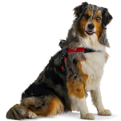 6_99afee6b-b157-4c4b-a289-4a0f22c138a3_400x Tre Ponti Brio Adjustable Step In Dog Harness, Red