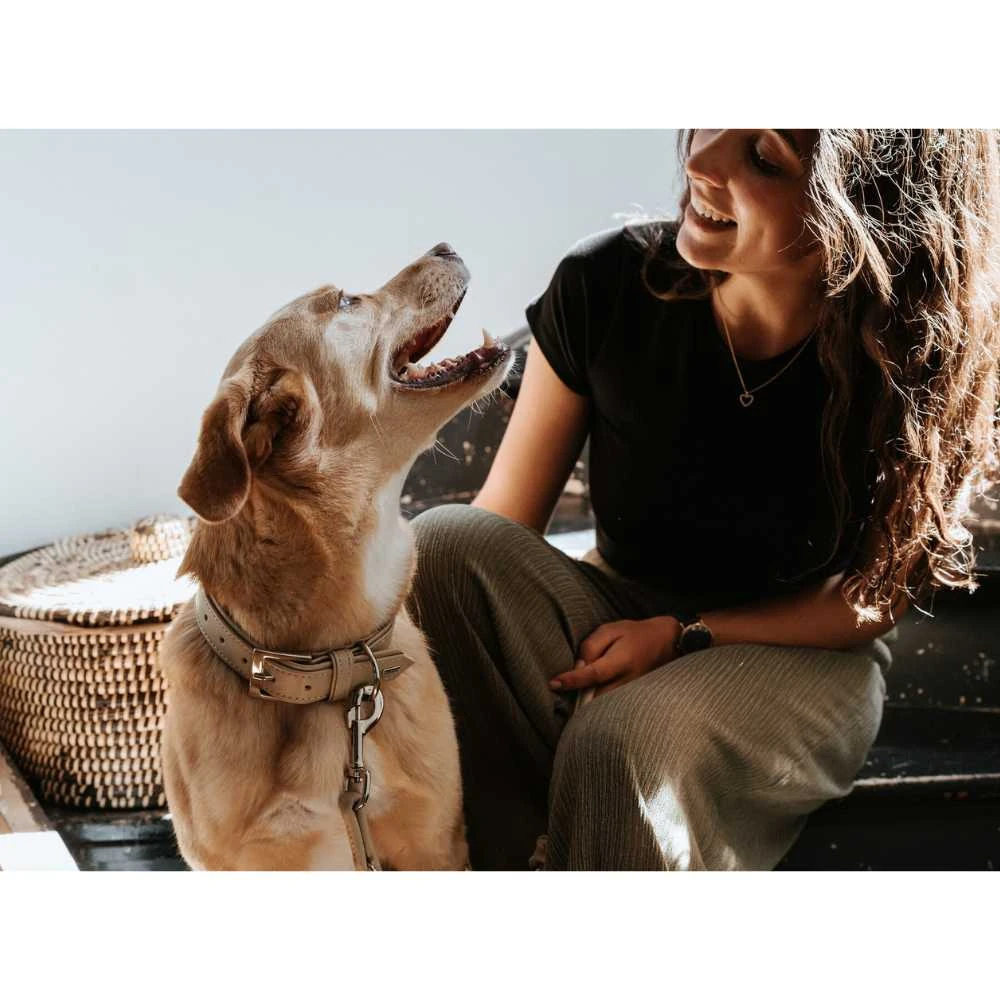 6_adf2aa86-761b-4b8d-bdb5-9044e12f51ea_2000x Hunter Dog Collar Amalfi, Tan