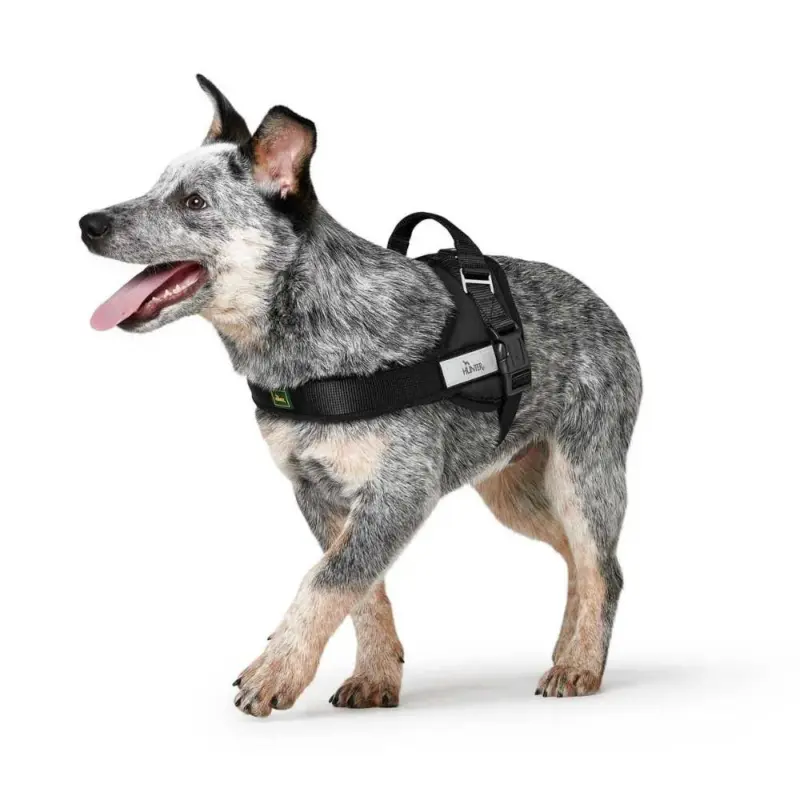 Hunter Norwegian Ranger Dog Harness