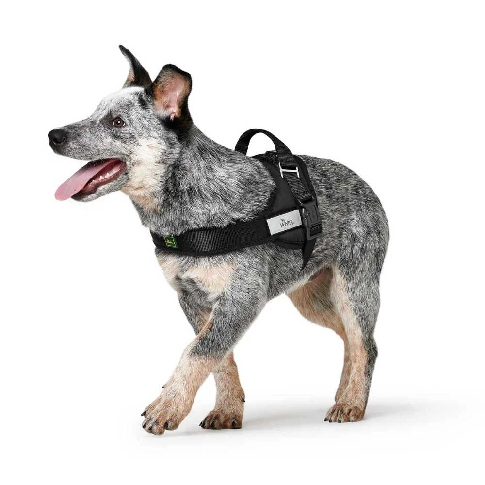 74_4796dce1-fa58-4354-9260-49068bd25597_2000x Hunter Norwegian Ranger Dog Harness