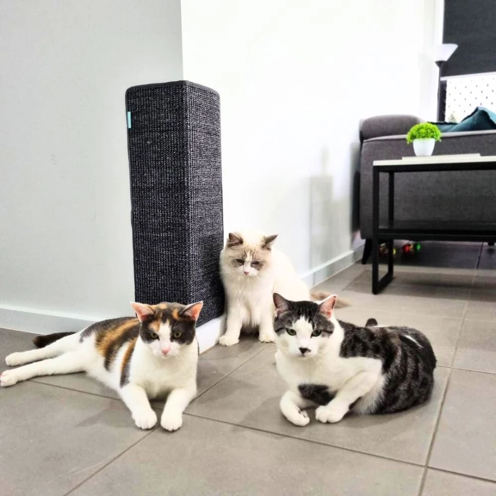 75_84012cfc-823a-40e5-be78-0bb36f400ff7_2000x Sisal Corner Wall Scratcher