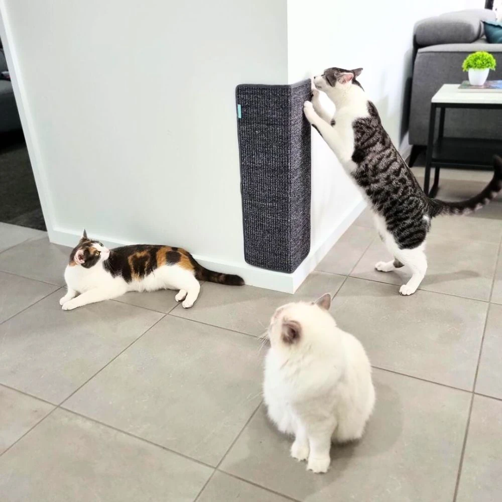 76_d36beaa8-a38d-433b-ab29-b71f9cc0257a_2000x Sisal Corner Wall Scratcher