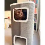 Tri-Level Square Cat Condo with Sherpa Lining