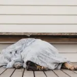 T&S Pet Blanket, Moonlight Grey