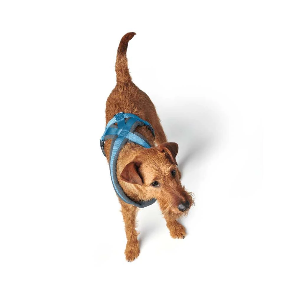 88_9f7d14cc-cfa4-4a5a-b681-6a01842361cd_2000x Hunter London Comfort Dog Harness