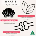 battery cat water fountain - Professional Guide and Review