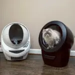 Automatic Litter-Robot 4, Black
