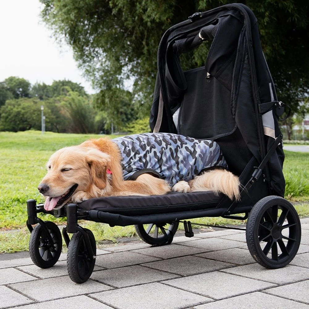 90_fbda1177-add1-4aeb-a89f-62de3161e501_2000x Ibiyaya Grand Cruiser Large Dog Stroller