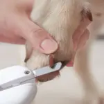 Michu LED Pet Nail Clipper