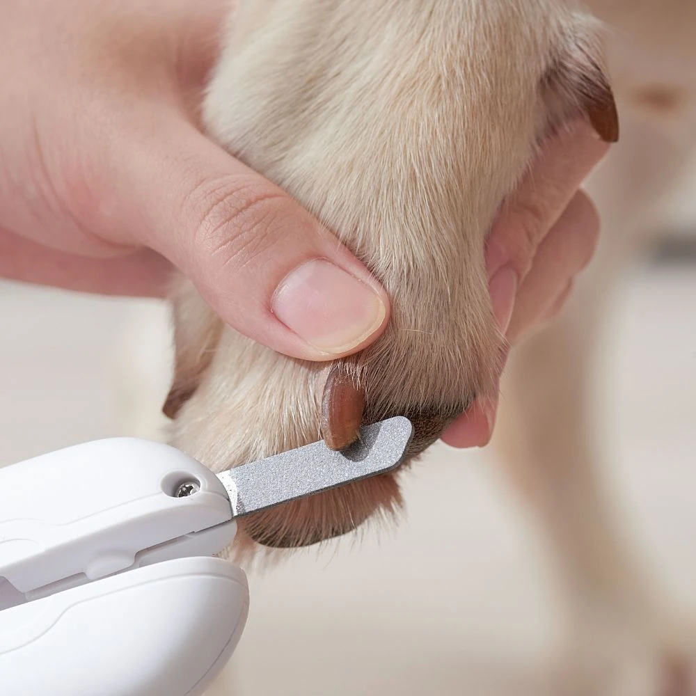 99_a355aaa2-46fb-4571-9173-e2fb077c5ec5_2000x Michu LED Pet Nail Clipper