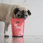 Petz Park Supplement For Dogs | Hip + Joint
