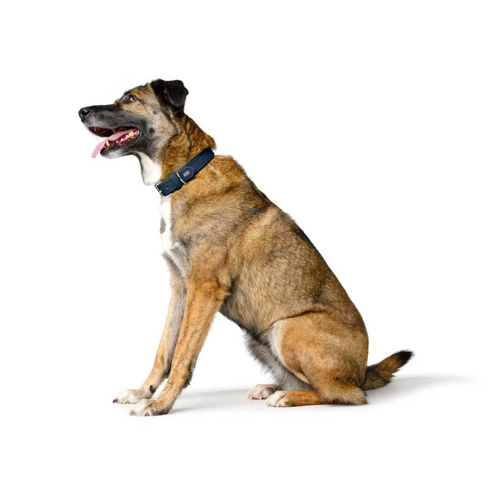9_df131458-10b0-4e39-81ef-48eca3d81814_2000x Hunter Dog Collar Amalfi, Blue