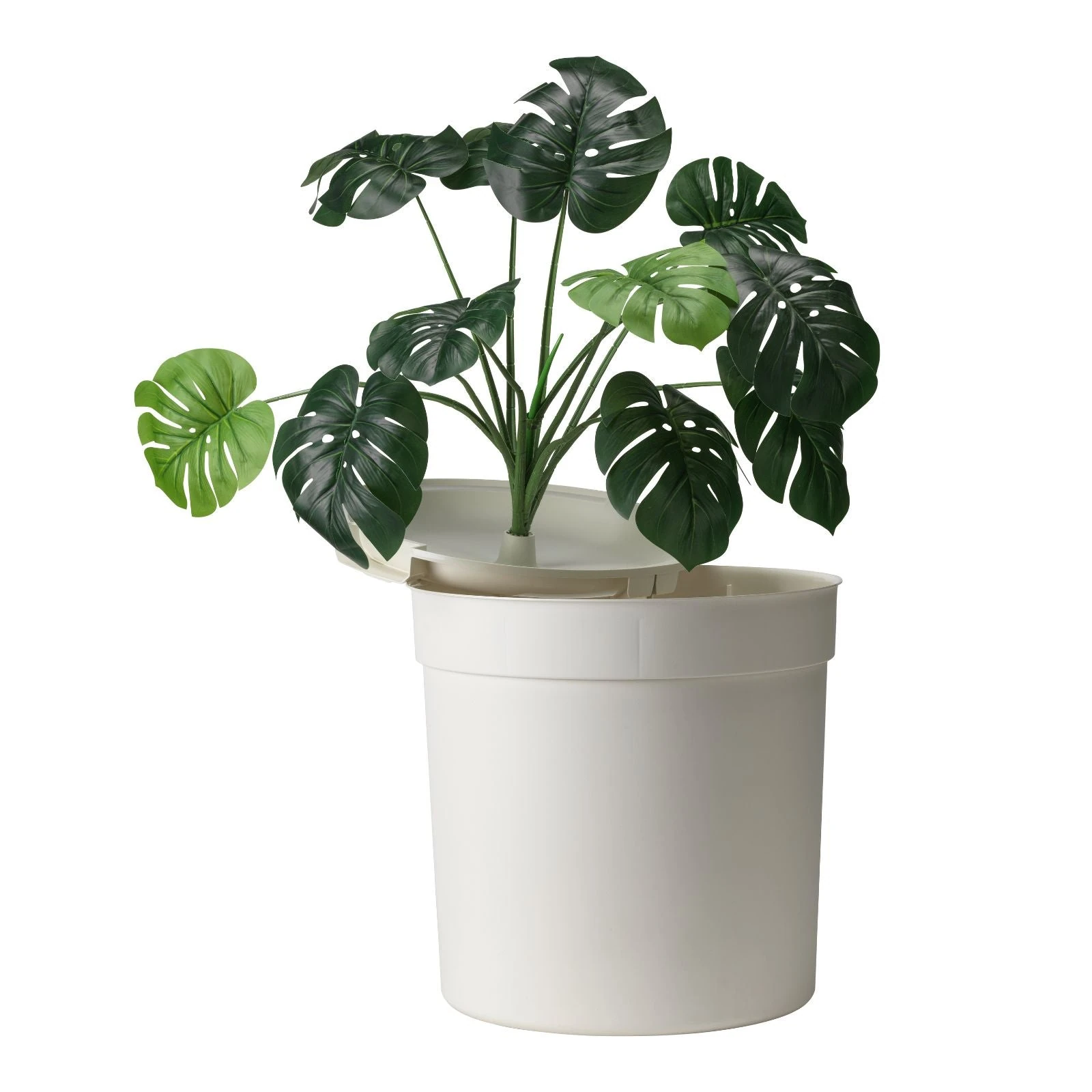 BU70-0354-2_2000x dematting comb for cats - Professional Guide and Review