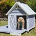 Dog Houses