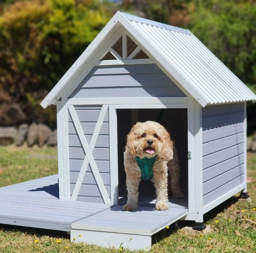 Dog Houses