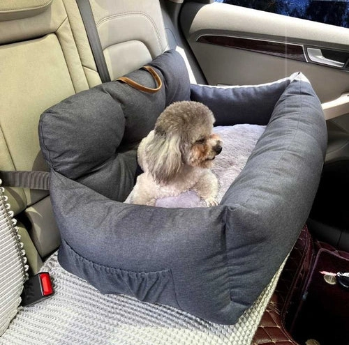Dog Travel