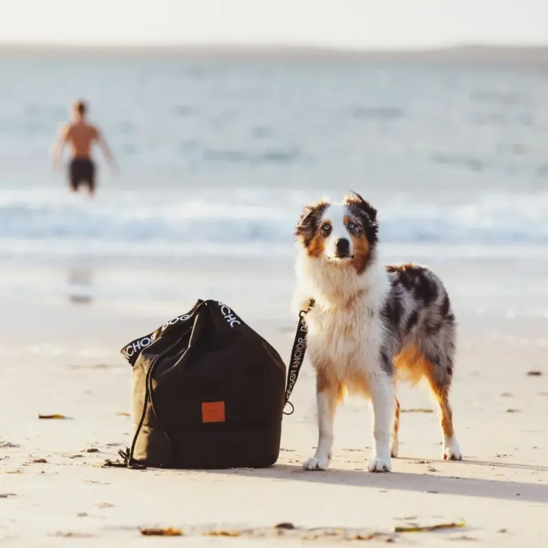 Dog Beach Anchor Bag with Leash