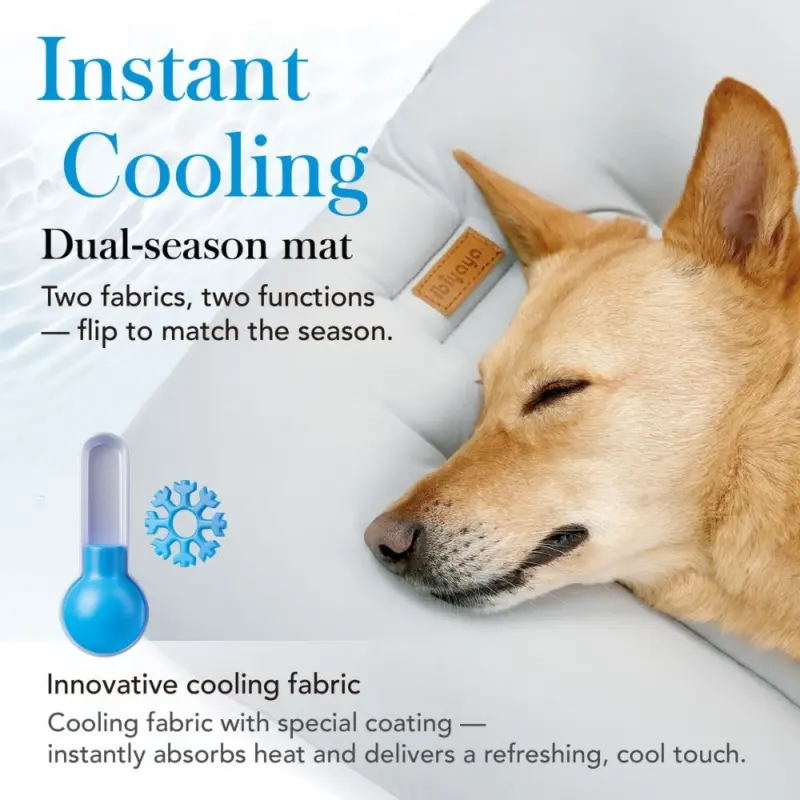 hunting dog coats - Professional Guide and Review